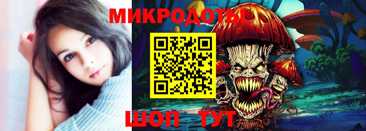 Галлюциногенные грибы Psilocybine cubensis Соль-Илецк