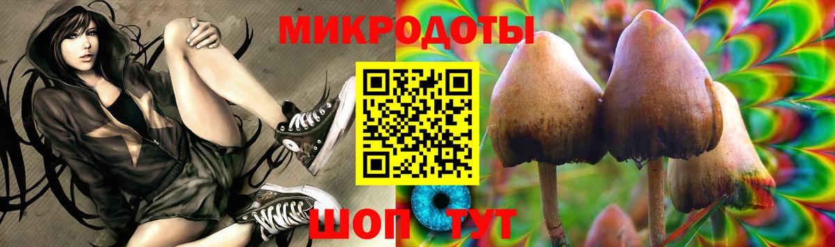 Соль-Илецк  Галлюциногенные грибы Psilocybine cubensis  Вход с VPN  Галлюциногенные грибы Psilocybe 